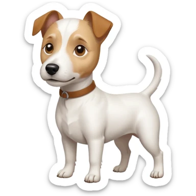 a full body white jack russel looking dog the size of a kelpie with light brown ears and a light brown patch on one eye and a large snout sticker