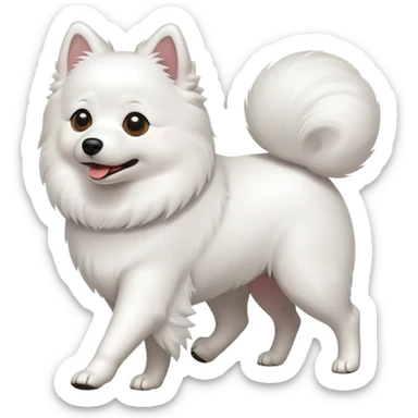 Japanese spitz dog walking  sticker