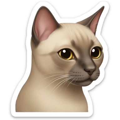 mink tonkinese cat sticker