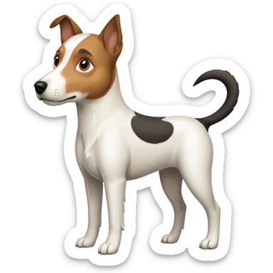 a full body large white parson russell looking dog the size of a kelpie with light brown ears and a light brown patch on one eye and a large snout sticker