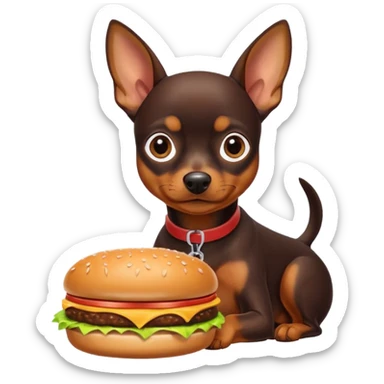 Miniature pinscher dog with white paws eating a giant, juicy hamburger sticker