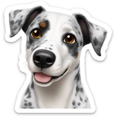 Blue heeler pointer mix black and white floppy ears sticker