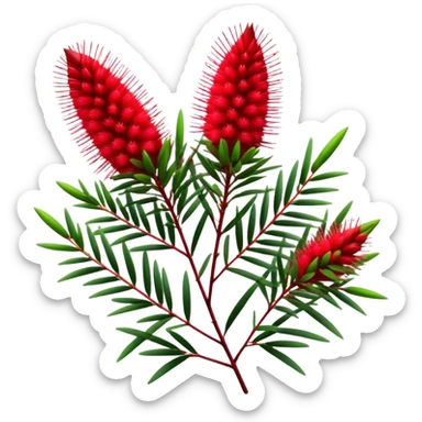 Cinematic Realistic Callistemon Emoji, Vibrant and striking, with spiky red flowers resembling a bottlebrush. The slender leaves create a fine backdrop to the bold blooms, while the plant exudes energy and vitality. Soft glowing outline, capturing the essence of strength, color, and natural beauty in a brilliant callistemon tree! sticker