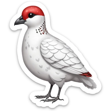 Rock Ptarmigan, full body, with red marking over eye sticker