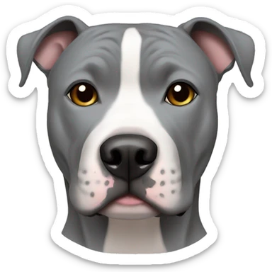 Grey American Staffordshire Terrier sticker