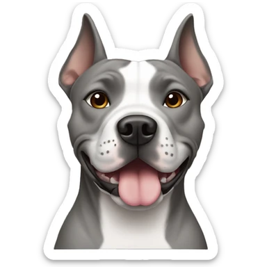 Gray Staffordshire terrier with pointy ears   sticker