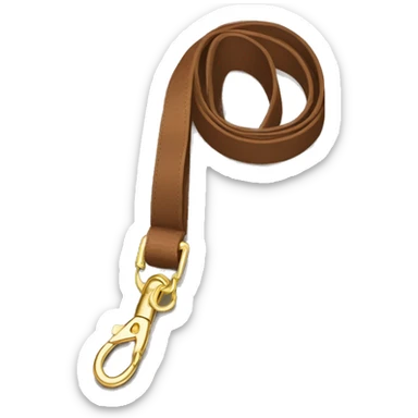 Brown dog leash with golden carabiner sticker