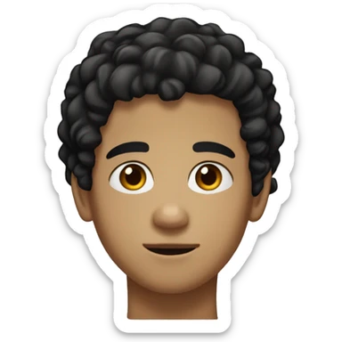 Only the head of a teenage boy with slightly curly black hair, light skin tone, slightly thick eyebrows, brown eyes, a beautiful nose  sticker