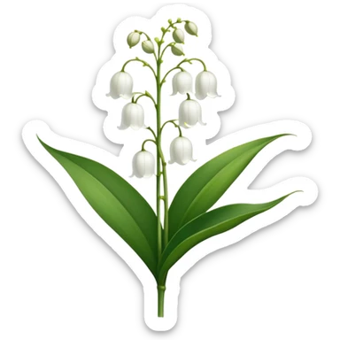Botanically accurate lily of the valley with large oval basal leaves pointing upward, and a central stem with small white bell-shaped flowers hanging to one side sticker