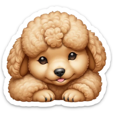 Meme-Worthy Cute Sleeping Apricot Poodle Portrait Emoji, Head resting peacefully with a contented smile, showcasing a delightfully elegant build and a luxuriously soft, curly apricot Fur, eyes shut in a serene nap, Simplified yet hilariously adorable features, highly detailed, glowing with a soft, drowsy light, high shine, relaxed and utterly lovable, stylized with an air of playful laziness, bright and heartwarming, soft glowing outline, capturing the essence of a comically sleepy companion, so meme-worthy it feels like it could instantly become the next viral sensation of adorable slumber! sticker