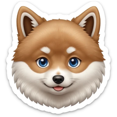 A Brown, light tan and white pomsky with one brown eye and one blue eye. sticker