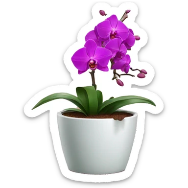 Orchid in a flowerpot sticker