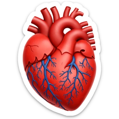 heart human organ sticker