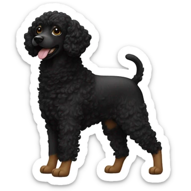 A black curly dog going out for a walk sticker