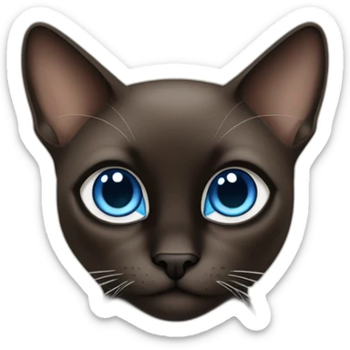 dark brown and black siamese Cat with blue eyes and white chin sticker
