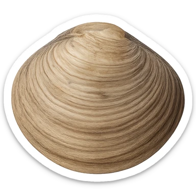 Clam sticker