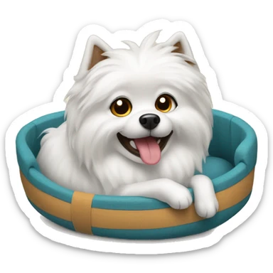 Spitz dog in a dog bed  sticker