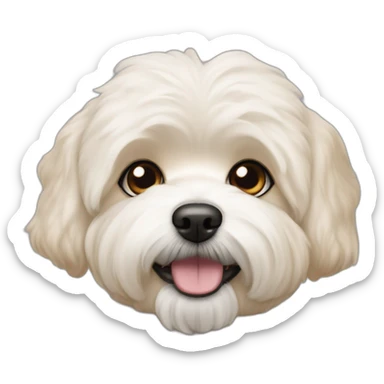 Shitzu Bichon friz dog mix that is cream colored with slightly orange ears.  sticker