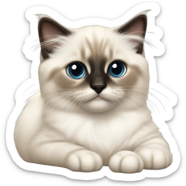 an entire birman kitten, laying down relaxed on a shoulder.  thin face, spots of dark on the ears and middle of the face. sticker