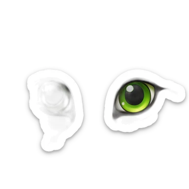 Siberian cat with green eyes sticker