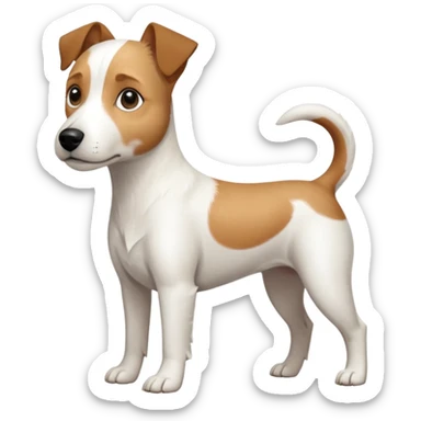 a full body slightly chubby white parson russell terrier looking dog the size of a kelpie with light brown long ears and a light brown patch on one eye and a large snout. the rest of the dog is completely white sticker