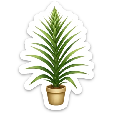 yucca plant with spiky green leaves sticker