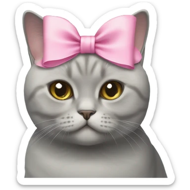British shorthair cat with a pink bow sticker