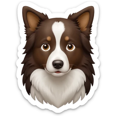 Border collie de cuerpo café oscuro y pecho blanco  sticker