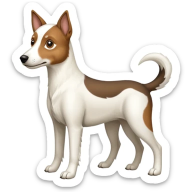 a full body large white floppy eared parson russell looking dog the size of a kelpie with light brown ears and a light brown patch on one eye and a large snout sticker