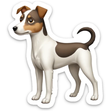 a full body large white parson russell looking dog the size of a kelpie with light brown ears and a light brown patch on one eye and a large snout sticker