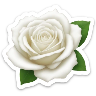 White rose sticker