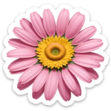 “A Polaroid-style photo of a pink daisy  sticker