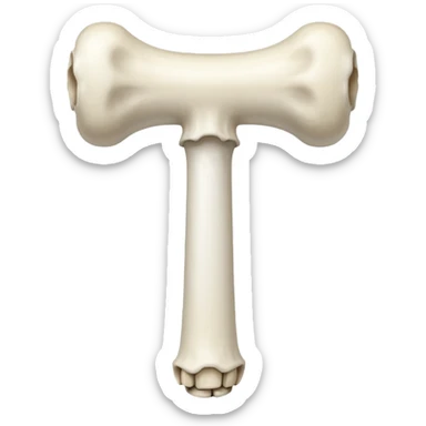 femur sticker
