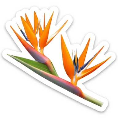 Strelitzia sticker
