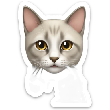 Chat siamois  sticker