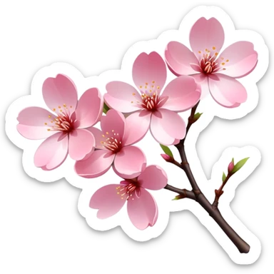 Single elegant pink cherry blossom (sakura) flower on a branch with soft pink petals, delicate shape, and subtle gradient sticker
