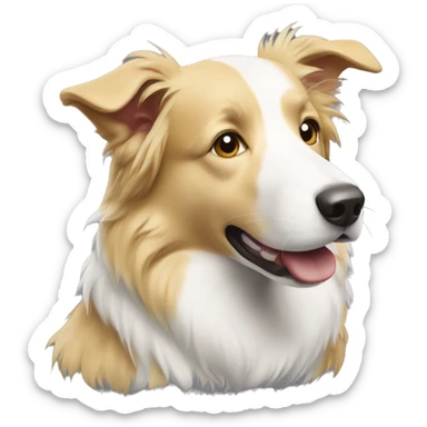 Blonde border collie  sticker