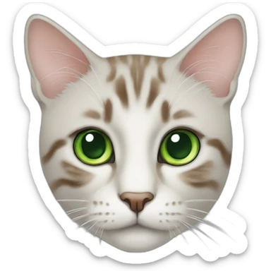 Katze mit grünen Augen mit Katzenfutter am Essen sticker