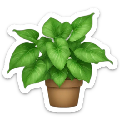 pothos sticker
