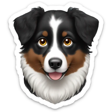 Small black australian shepherd dog with dark brown eyes and black face sticker