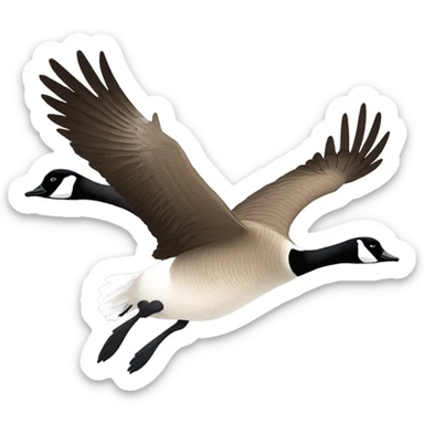 Canada goose in flight sticker