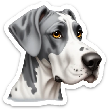 Gray and white harlequin Great Dane with one blue eye and one brown eye sticker