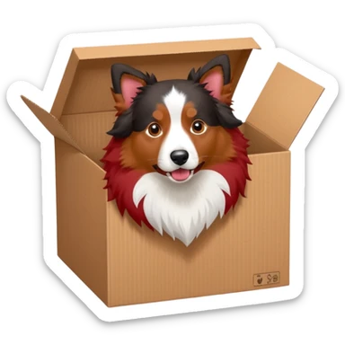 Red tri Australian shepherd and Shetland sheepdog in box sticker