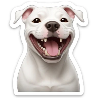 White Staffordshire Bull Terrier laughing sticker
