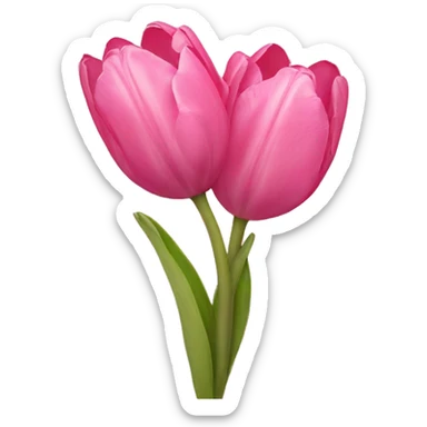 Pink tulips with a bow sticker