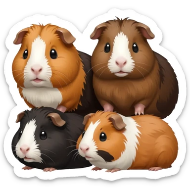 a group of 8 guinea pigs 2  big and creme colour 2 big and black 1 small black white and brown 1 small black and brown 1 small white and 1 small creme  sticker