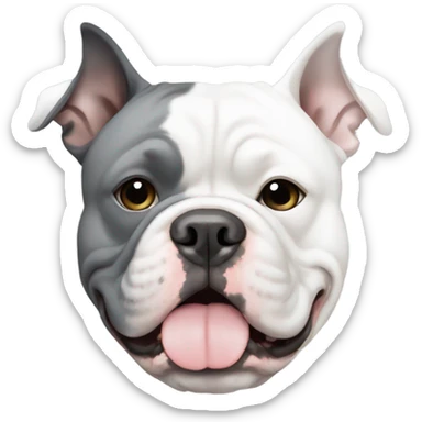 White American bully with grey patch over one eye sticker