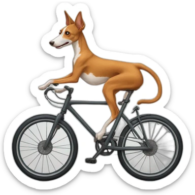 Podenco subido en bicicleta sticker