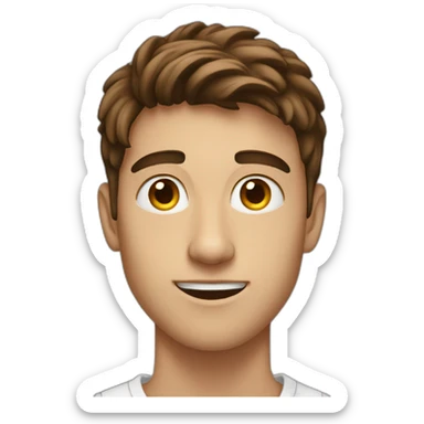 A 19 years Old guy with brown hair using a macbook  sticker