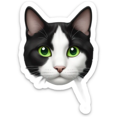 black and white tuxedo cat with green eyes sticker